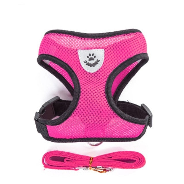 Breathable  Harness and Leash Puppy Set