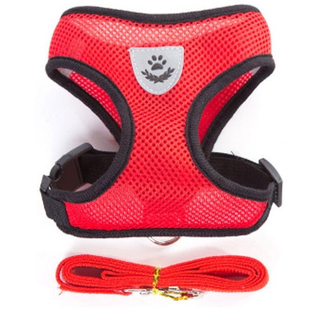 Breathable  Harness and Leash Puppy Set