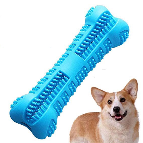 Dog Bone Toothbrush